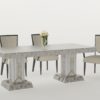 Ancient Mirrored Dining Table without interior